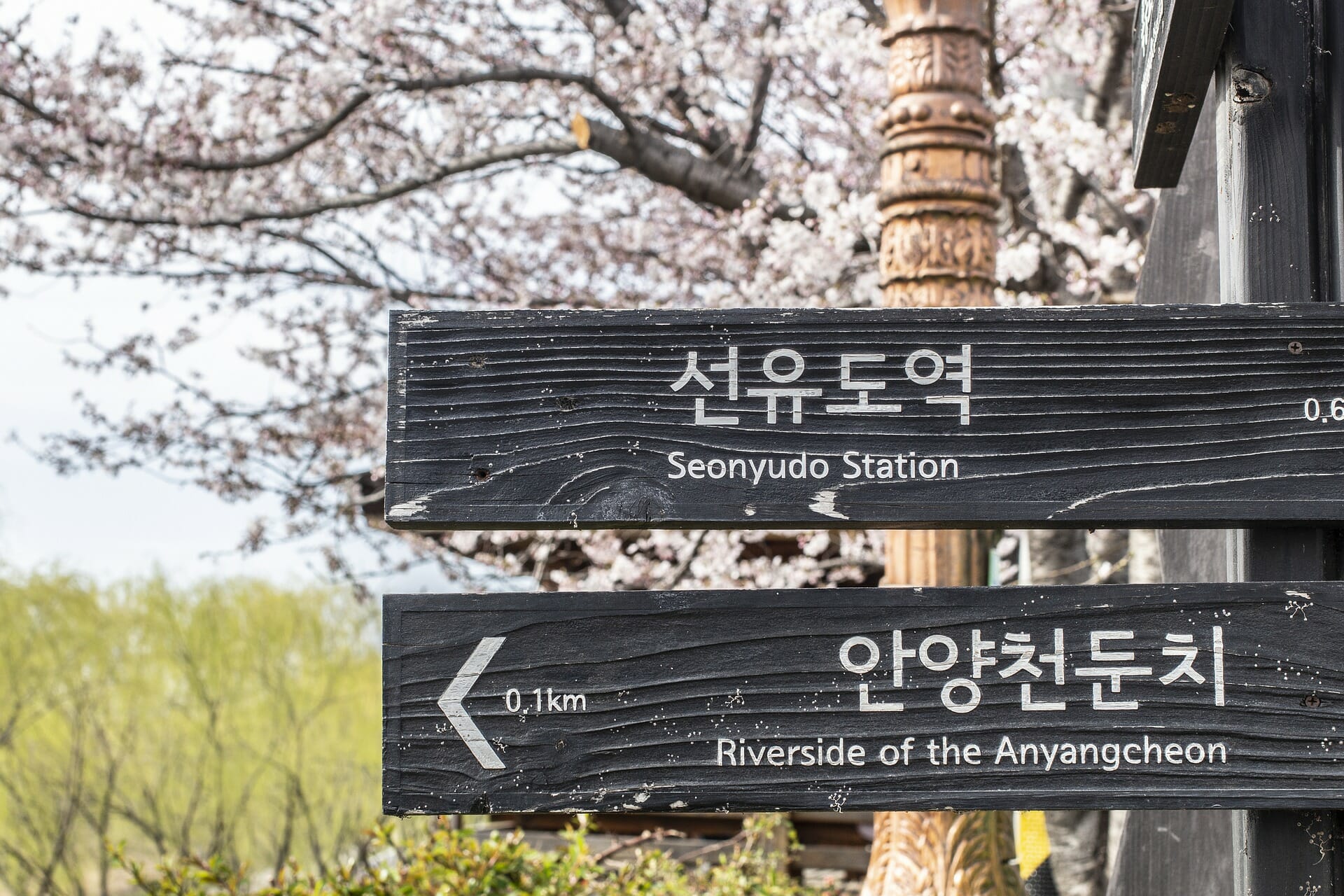 80+ Basic Korean Travel Phrases - Phrases to Learn Before Visiting Korea 7
